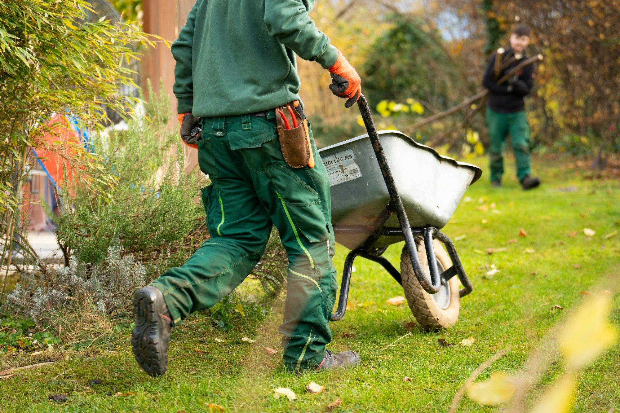 Landscaper pushing a wheelbarrow across a lawn Landscaper pushing a wheelbarrow across a lawn