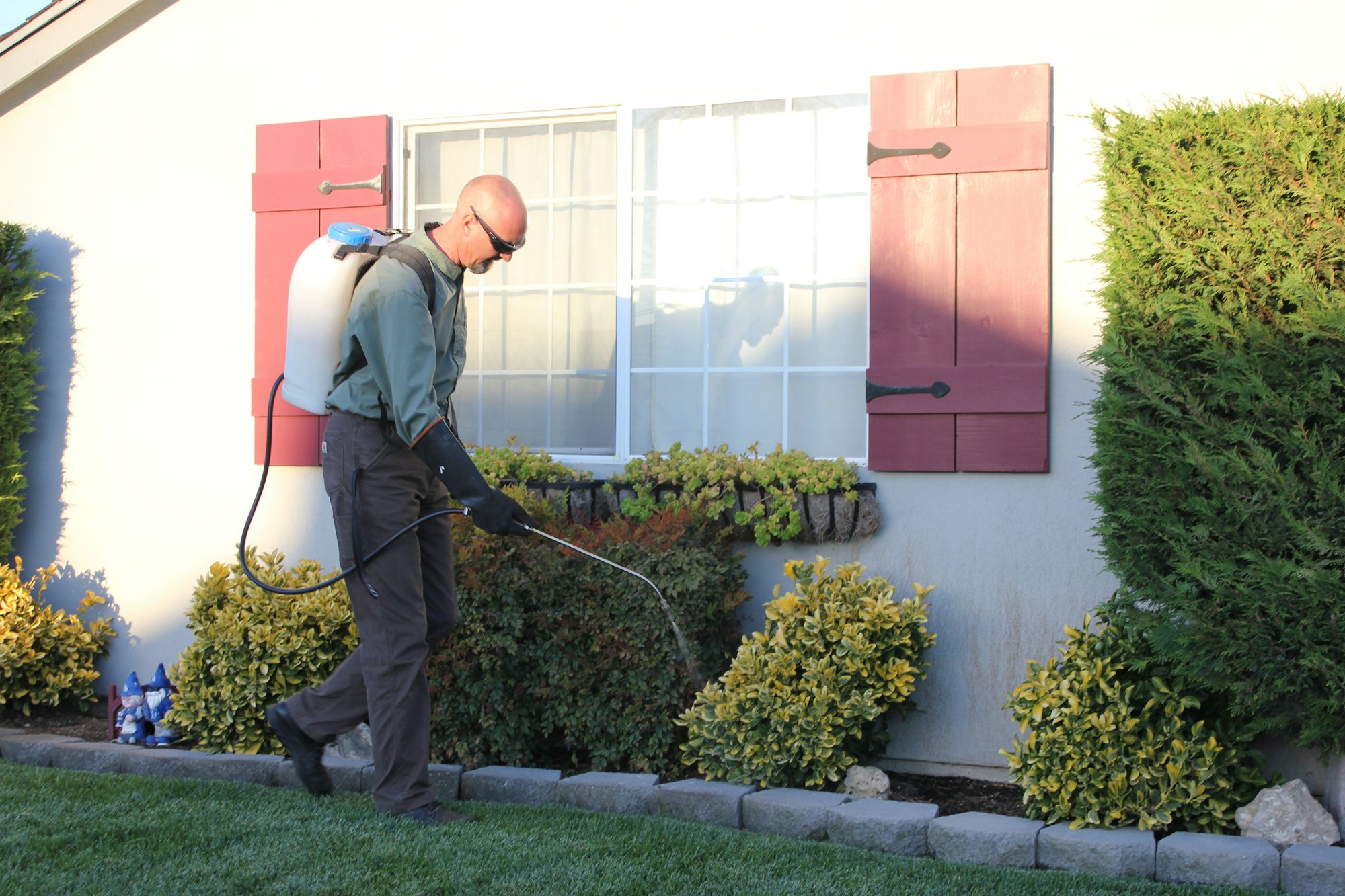 Pest control technician spraying around a house Pest control technician spraying around a house